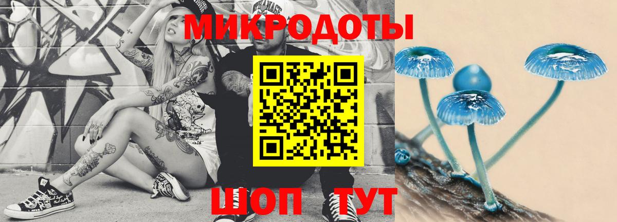 Галлюциногенные грибы Cubensis Киселёвск