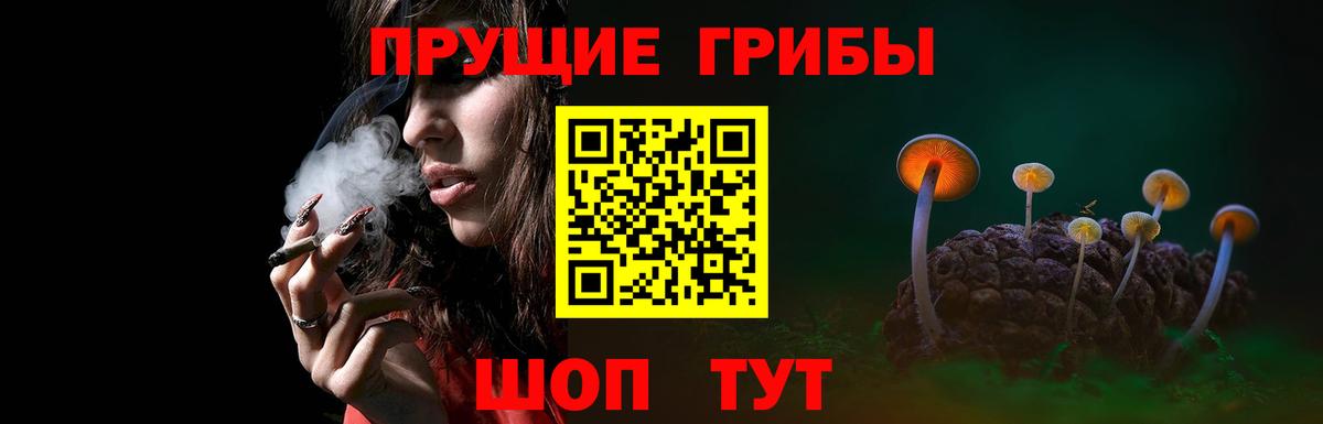 Псилоцибиновые грибы Psilocybine cubensis  Вход с VPN  Киселёвск 